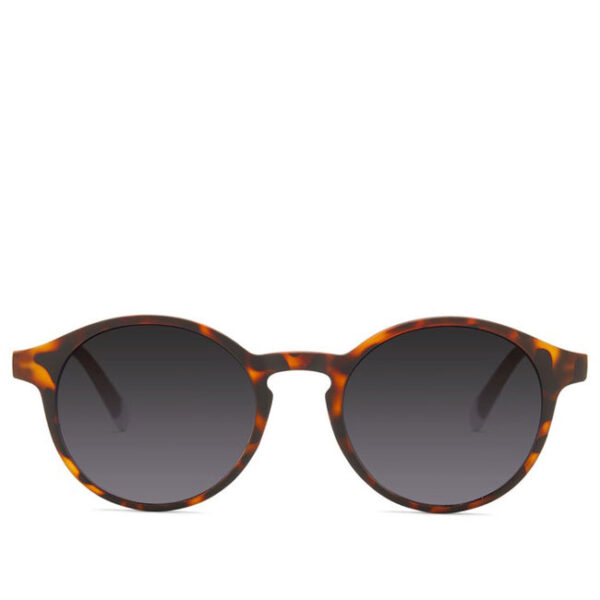Barner Le Marais Sun Glasses- Tortoise