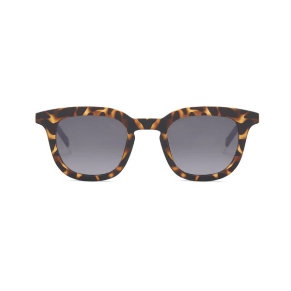 Barner  Sun Glasses Model Osterbro Tortoise -Coca Brown