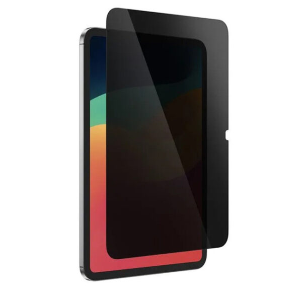 Amazing Thing IPAD PRO 11 (M4) 2024 2.5D F COV Radix Privacy