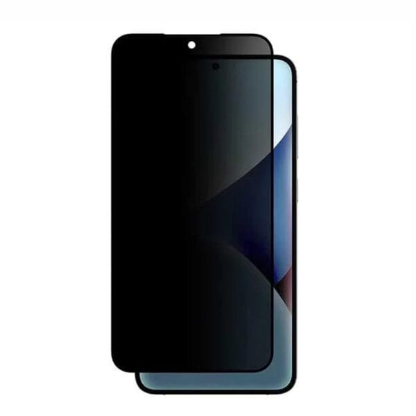 AmazingThing Raidex Galaxy S25 Ultra Privacy Glass Sticker